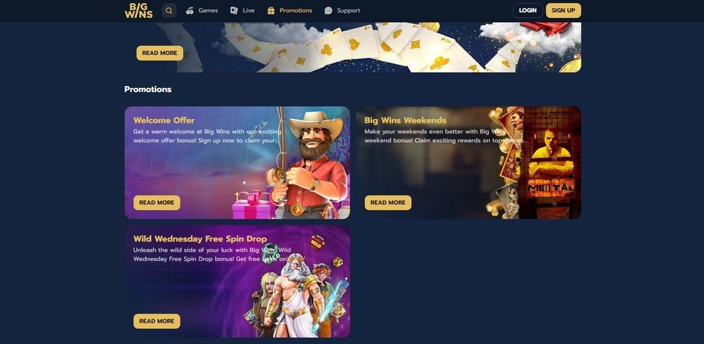 BigWins Casino Site: Gamer Scores & Our Verdict